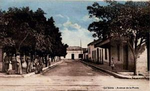 La Senia 57